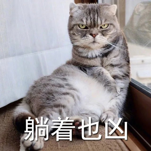 躺着也凶（躺着也凶）