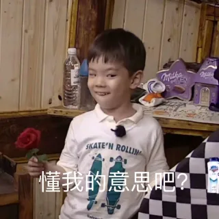 懂我的意思吧？