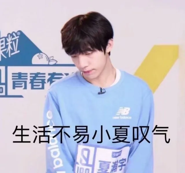 啦青春有生活不易小夏叹气B夏宇（啦青春有生活不易小夏叹气B夏宇）
