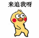 来追我呀（小黄鸡表情包）（来追我呀（小黄鸡表情包））