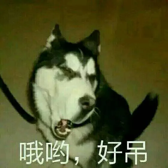 哦哟，好屌