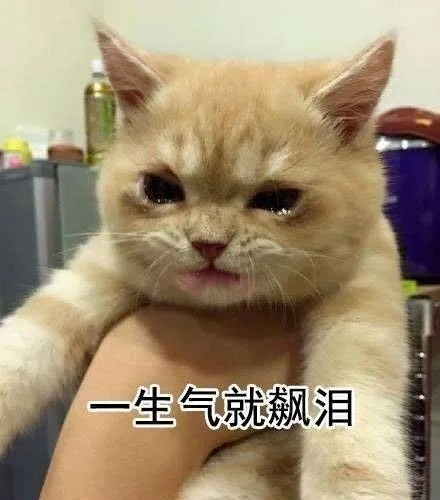 一生气就飚泪的猫咪_萌萌哒