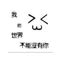 我的世界，不能没有你