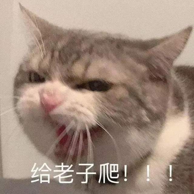给老子爬!!!