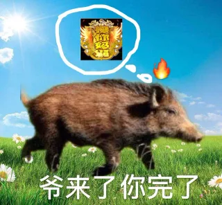 爷来了你完了