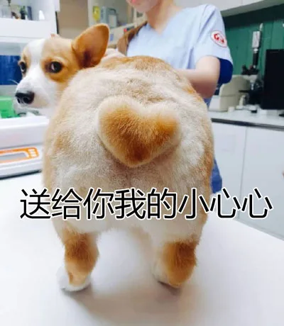 送给你我的小心心（送给你我的小心心）