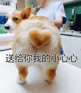 送给你我的小心心