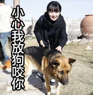 小心我放狗咬你