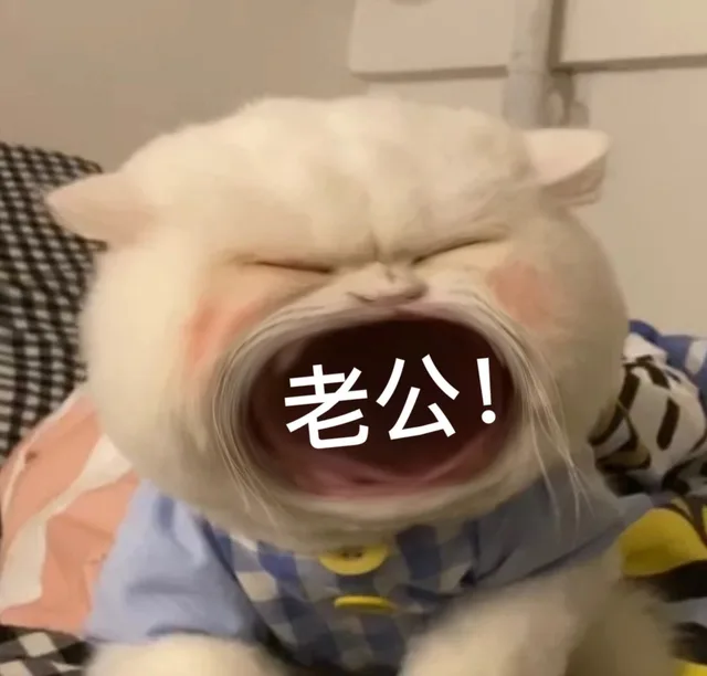 老公!（老公!）