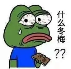 什么冬梅？？（什么冬梅？？）