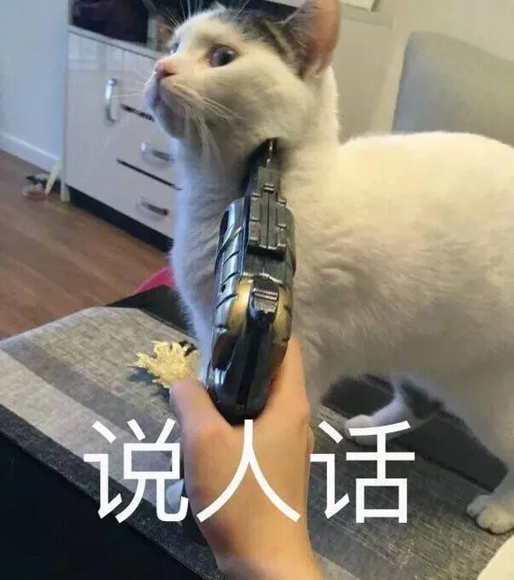说人话（说人话）