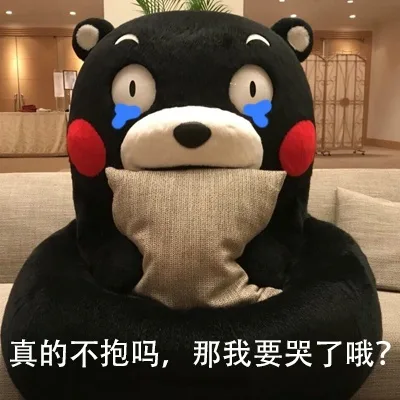 真的不抱吗，那我要哭了哦（真的不抱吗，那我要哭了哦）