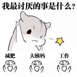我最讨厌的事是什么?减肥大姨妈工作(0)(0)(○