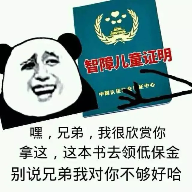 嘿，兄弟，我很欣赏你拿这，这本书去领低保金，别说兄弟我对你不够好哈（智障儿童证明）
