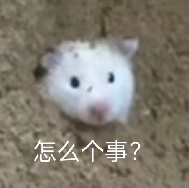 怎么个事？（怎么个事？）