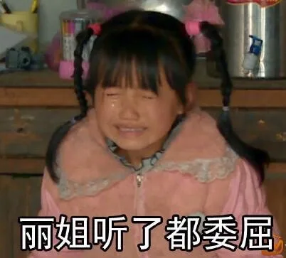 丽姐听了都委屈