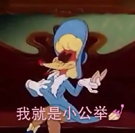 我就是小公举