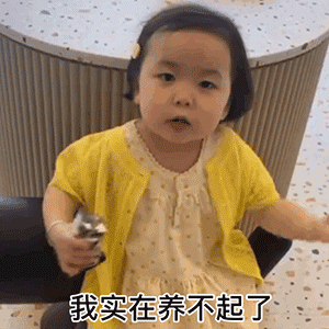我实在养不起了（我实在养不起了）