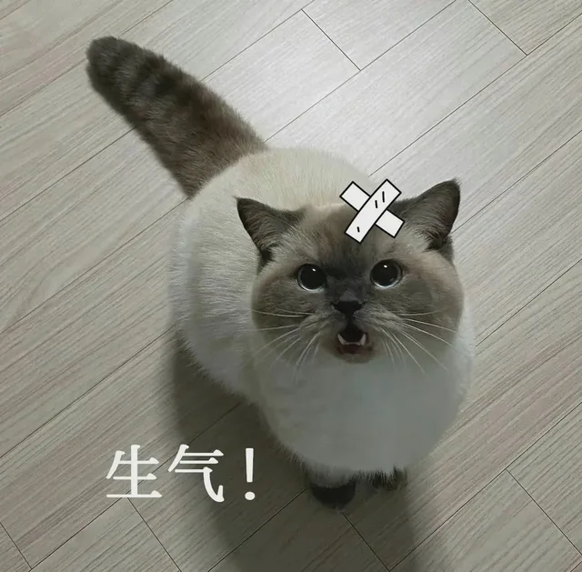生气!