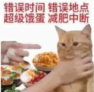 错误时间错误地点超级饿蛋减肥中断（错误时间错误地点超级饿蛋减肥中断）