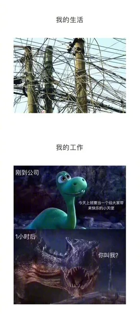 我的人生总结，真实得哭出声