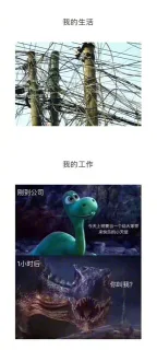 我的人生总结，真实得哭出声表情包
