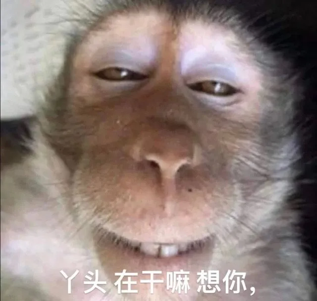 丫头在干嘛想你，（丫头在干嘛想你，）