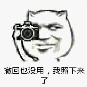 撤回也没用，我照下来了（撤回也没用，我照下来了）