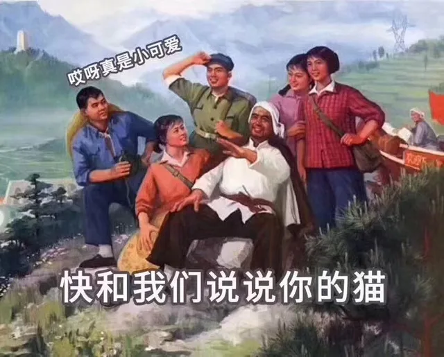 快和我说说你的猫（快和我说说你的猫）