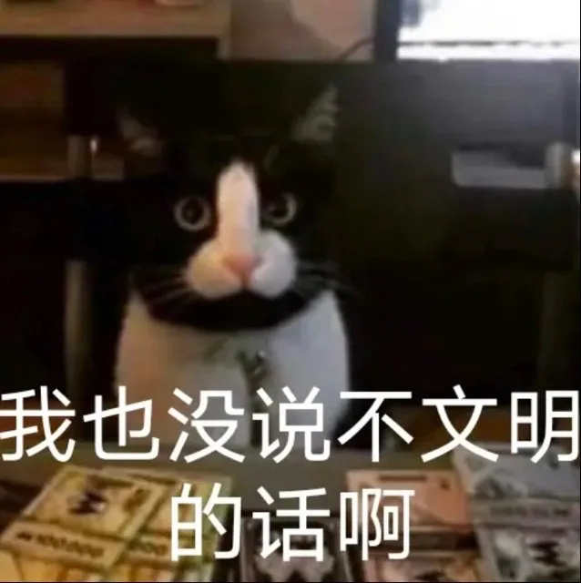我也没说不文明的话啊(猫猫表情包)（我也没说不文明的话啊(猫猫表情包)）