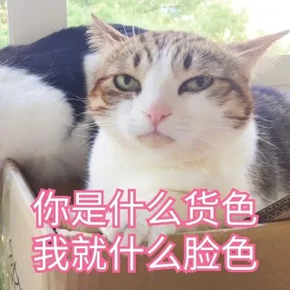 你是什么货色我就什么脸色