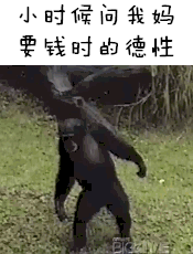 说起来都是泪的表情_动图表情包