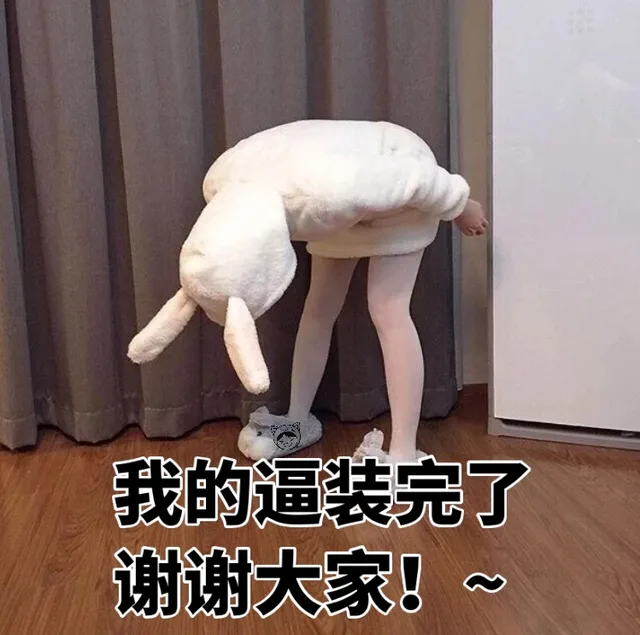 今天份的斗图表情包套图