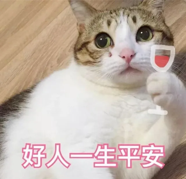 好人一生平安（猫咪表情包）