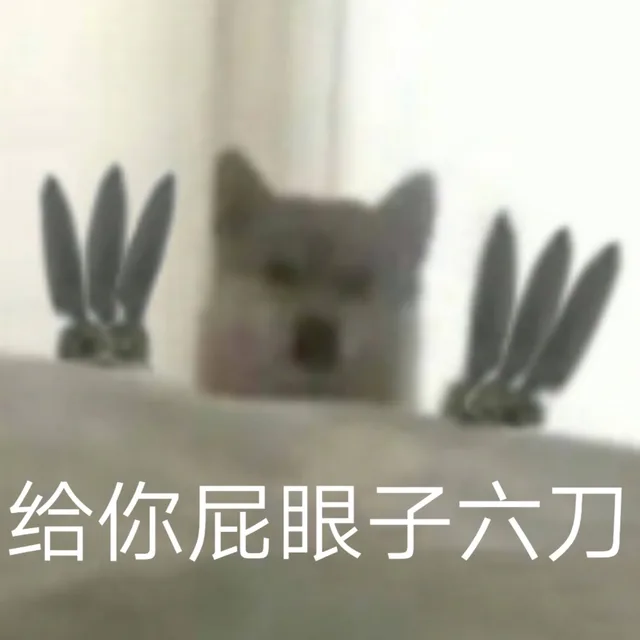 给你屁眼子六刀