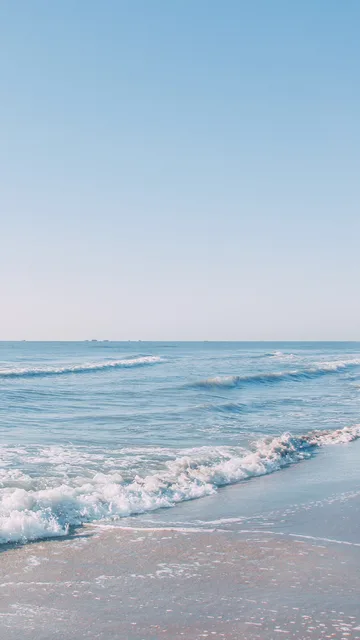 壁纸（壁纸）