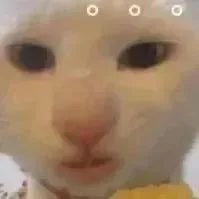 00