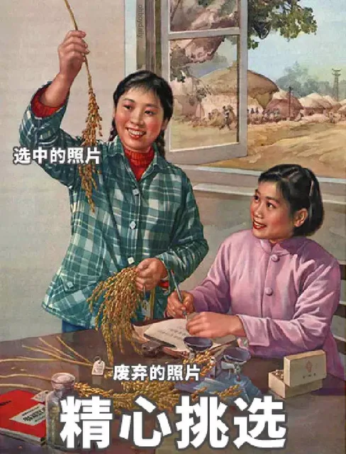 精心挑选照片（精心挑选照片）