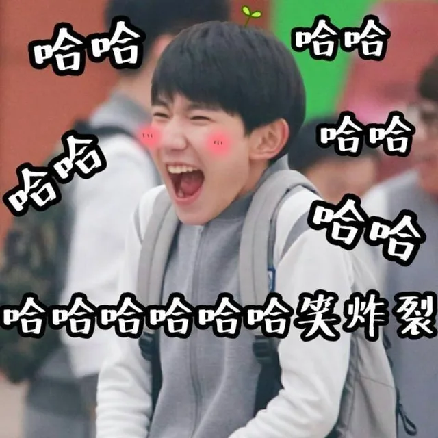 哈哈哈笑炸裂（王源表情包）