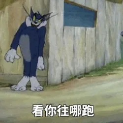 看你往哪里跑