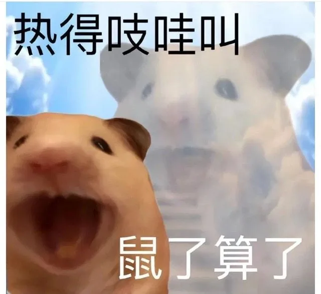热得吱哇叫鼠了算了（热得吱哇叫鼠了算了）