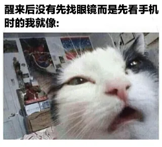 醒来后没有先找眼镜而是先看手机时的我就像: