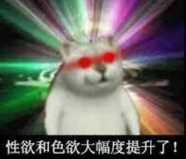 憨憨猫 魔性MUR猫表情包_沙雕表情包