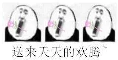 送来天天的欢腾（送来天天的欢腾）