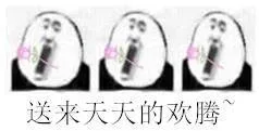 送来天天的欢腾