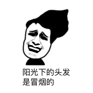 长头发的困扰表情包