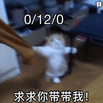 求求你带带我
