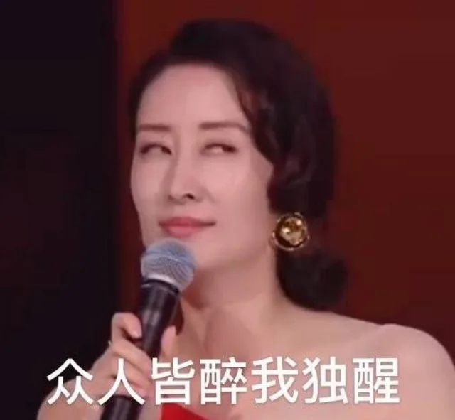 众人皆醉我独醒(刘敏涛表情包)（众人皆醉我独醒(刘敏涛表情包)）