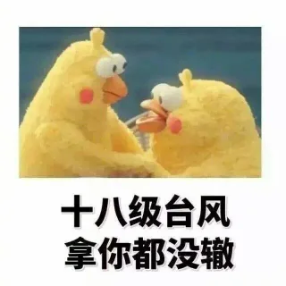十八级台风拿你都没辙