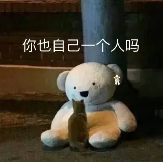猫咪与玩具熊，好暖心